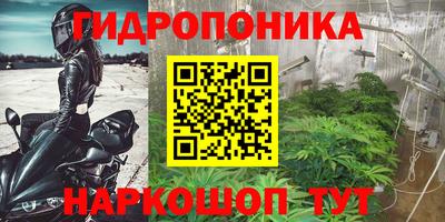 PSILOCYBIN Балаково