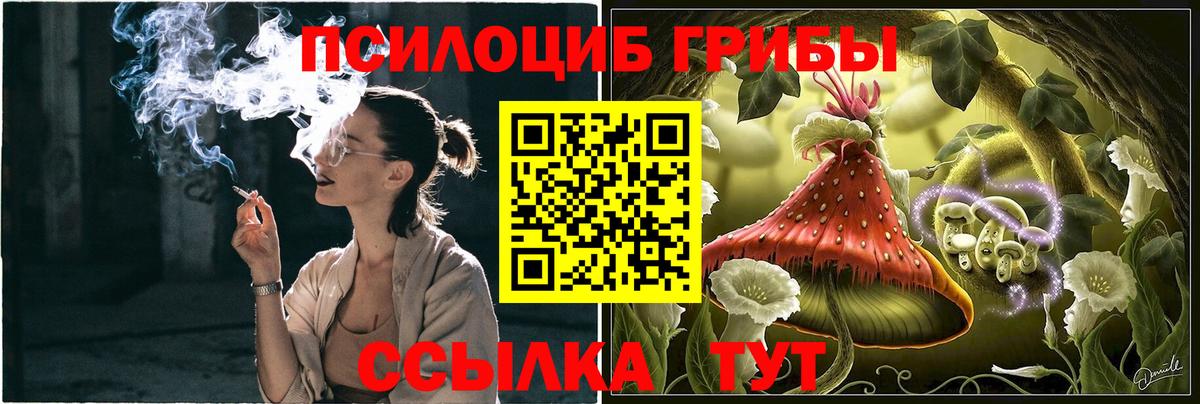 Галлюциногенные грибы прущие грибы  Жигулёвск  купить закладку  Галлюциногенные грибы GOLDEN TEACHER 