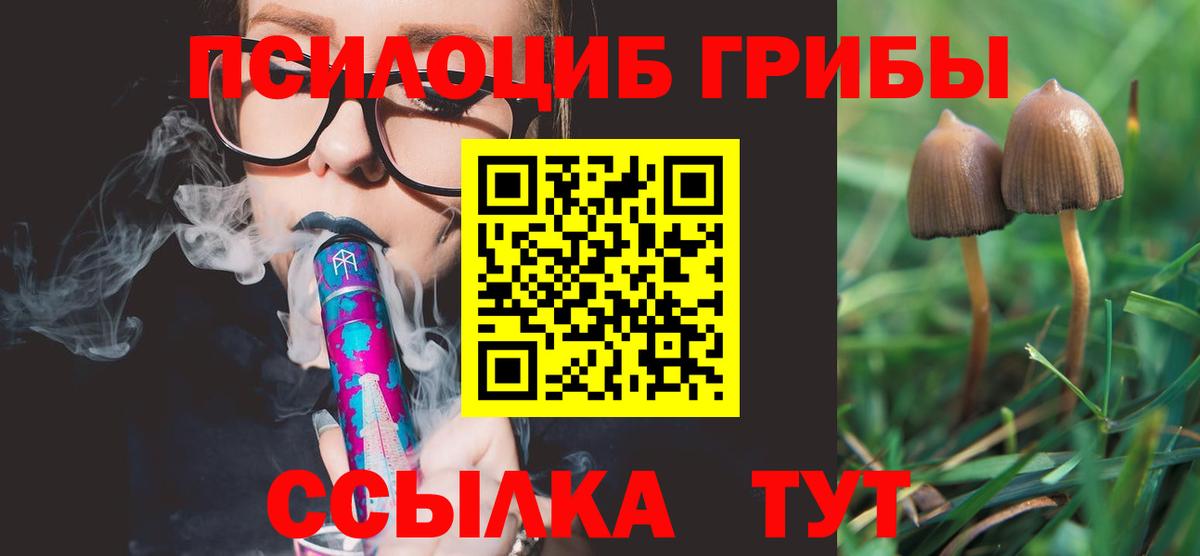 Псилоцибиновые грибы MAGIC MUSHROOMS Жигулёвск