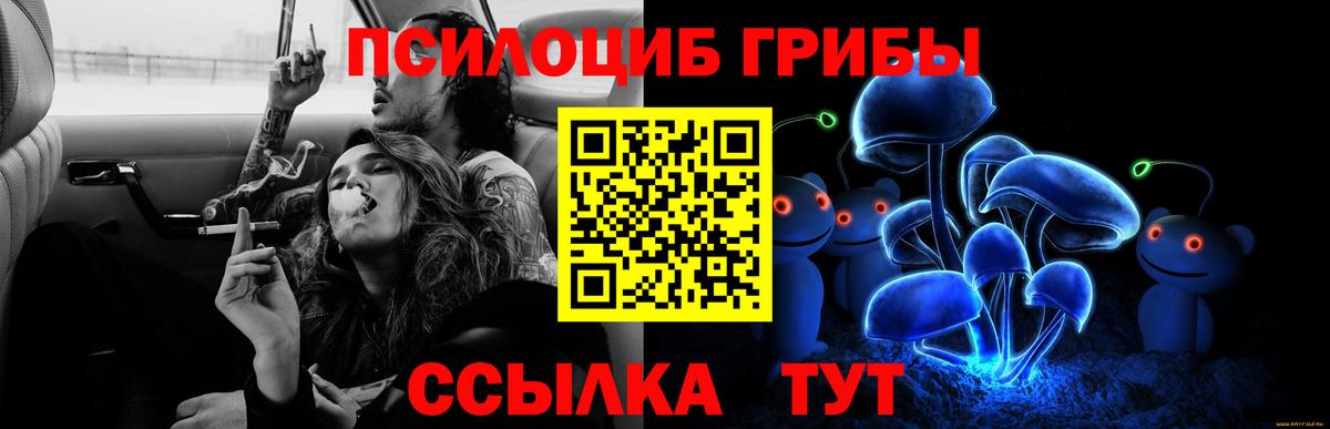 Галлюциногенные грибы GOLDEN TEACHER  Вход с VPN  Жигулёвск 